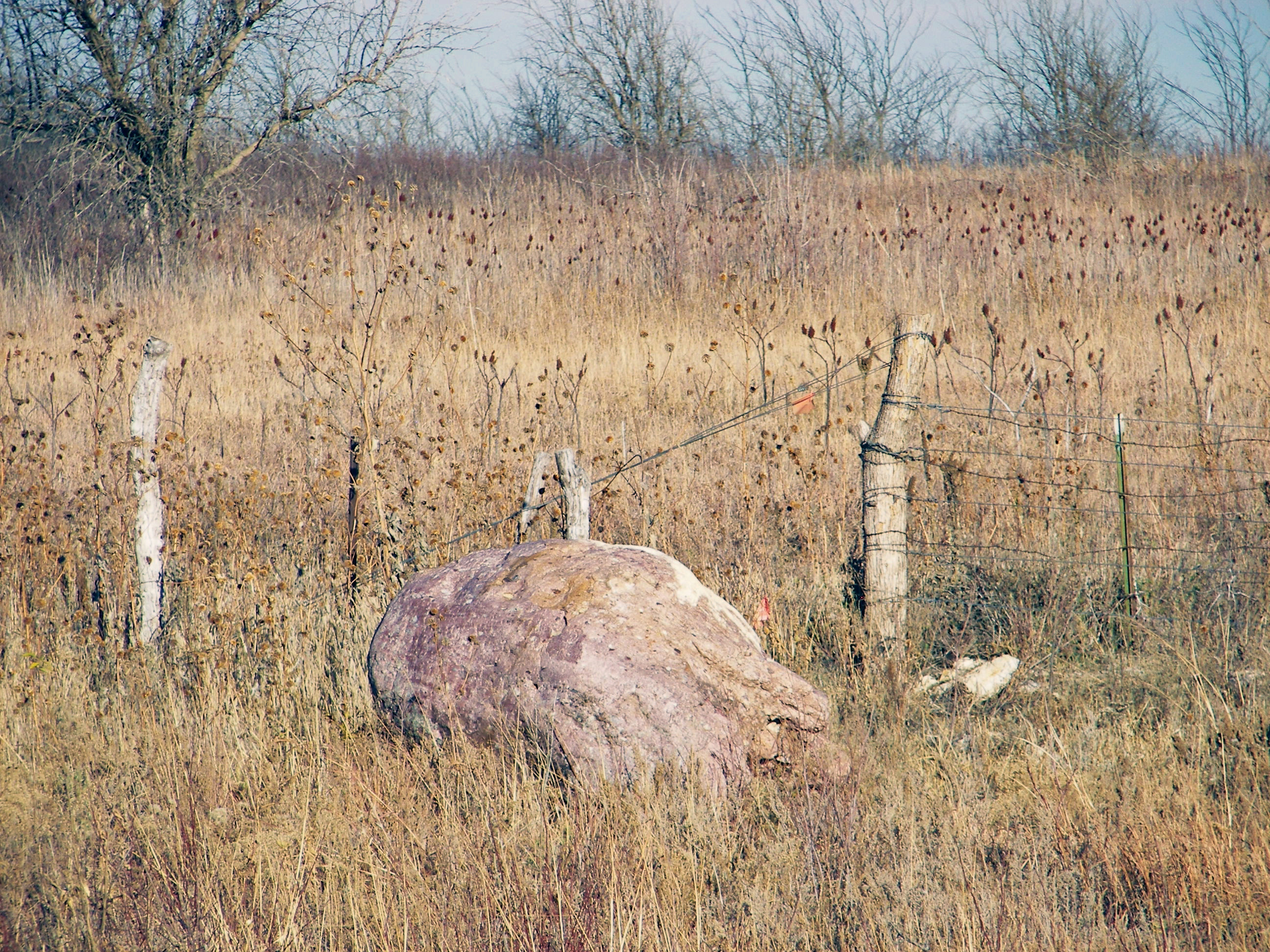 Quartzite boulder at Mount Mitchell Heritage Prairie.